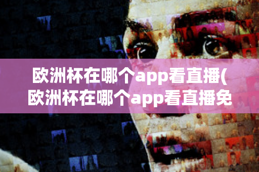 欧洲杯在哪个app看直播(欧洲杯在哪个app看直播免费)