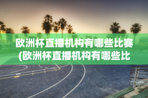 欧洲杯直播机构有哪些比赛(欧洲杯直播机构有哪些比赛名单)