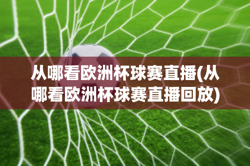 从哪看欧洲杯球赛直播(从哪看欧洲杯球赛直播回放)