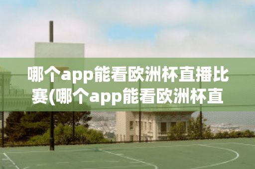 哪个app能看欧洲杯直播比赛(哪个app能看欧洲杯直播比赛回放)