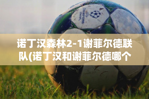 诺丁汉森林2-1谢菲尔德联队(诺丁汉和谢菲尔德哪个城市好)