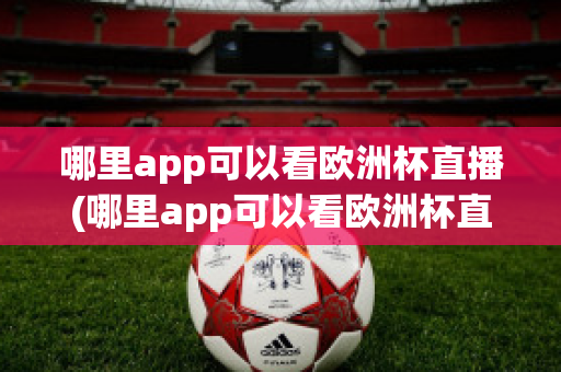 哪里app可以看欧洲杯直播(哪里app可以看欧洲杯直播)