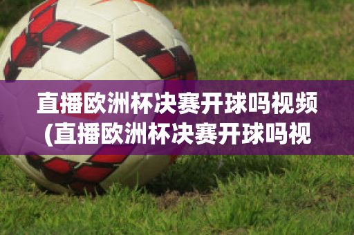 直播欧洲杯决赛开球吗视频(直播欧洲杯决赛开球吗视频在线观看)