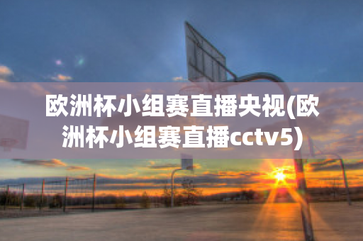 欧洲杯小组赛直播央视(欧洲杯小组赛直播cctv5)