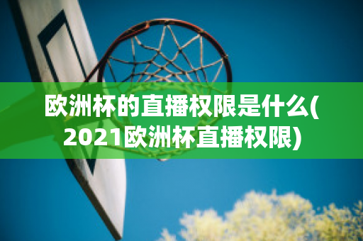 欧洲杯的直播权限是什么(2021欧洲杯直播权限)