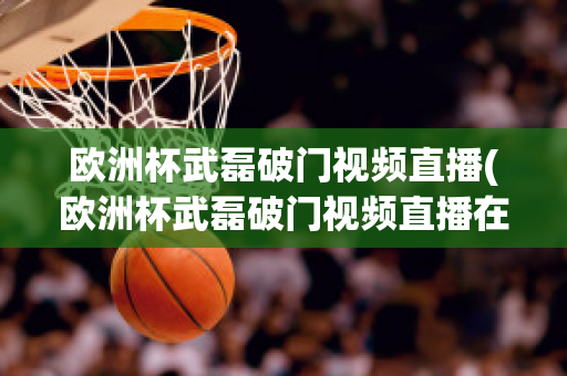 欧洲杯武磊破门视频直播(欧洲杯武磊破门视频直播在线观看)