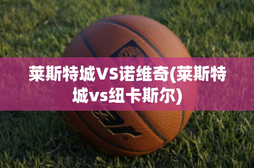 莱斯特城VS诺维奇(莱斯特城vs纽卡斯尔)