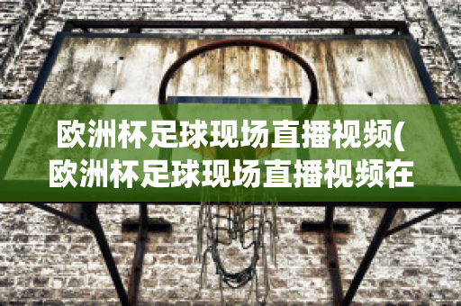 欧洲杯足球现场直播视频(欧洲杯足球现场直播视频在线观看)