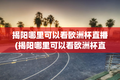 揭阳哪里可以看欧洲杯直播(揭阳哪里可以看欧洲杯直播的地方)