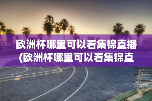 欧洲杯哪里可以看集锦直播(欧洲杯哪里可以看集锦直播的)