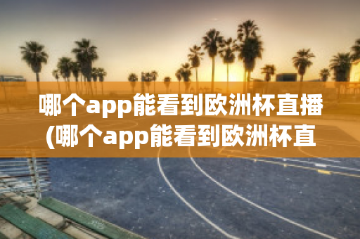 哪个app能看到欧洲杯直播(哪个app能看到欧洲杯直播视频)