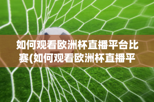 如何观看欧洲杯直播平台比赛(如何观看欧洲杯直播平台比赛回放)