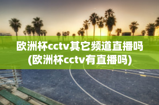 欧洲杯cctv其它频道直播吗(欧洲杯cctv有直播吗)