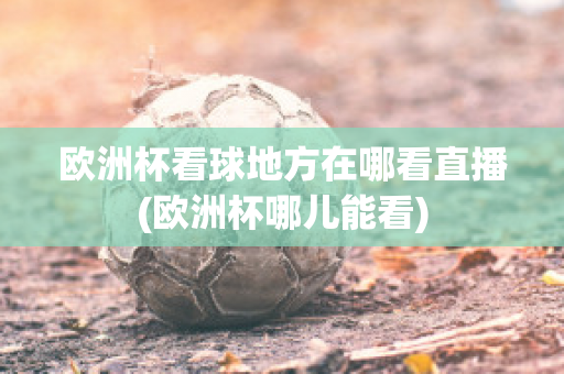 欧洲杯看球地方在哪看直播(欧洲杯哪儿能看)