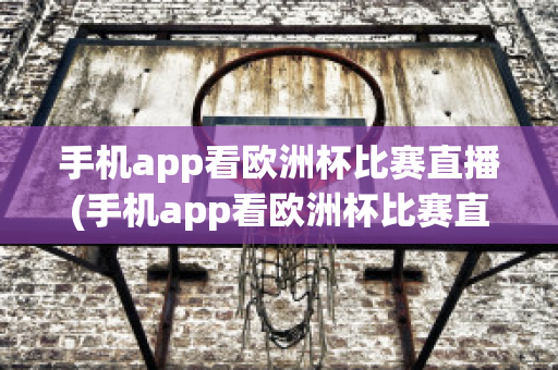 手机app看欧洲杯比赛直播(手机app看欧洲杯比赛直播怎么看)