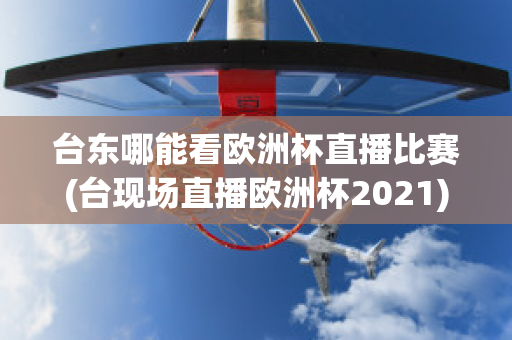 台东哪能看欧洲杯直播比赛(台现场直播欧洲杯2021)