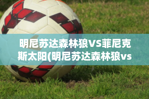 明尼苏达森林狼VS菲尼克斯太阳(明尼苏达森林狼vs洛杉矶湖人)