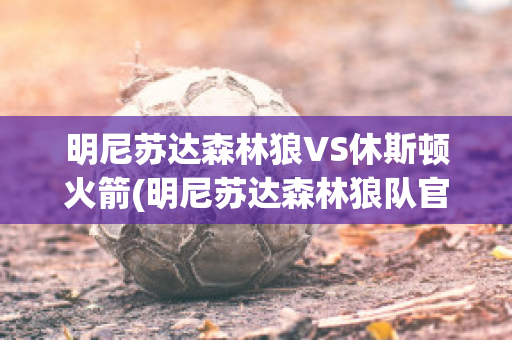 明尼苏达森林狼VS休斯顿火箭(明尼苏达森林狼队官网)