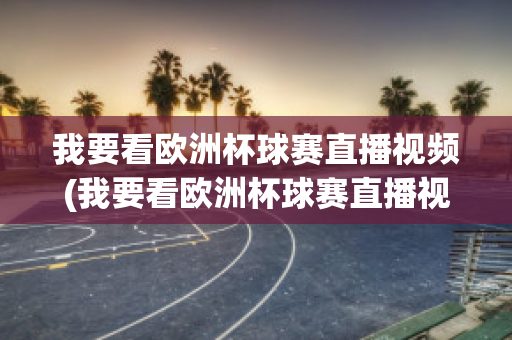 我要看欧洲杯球赛直播视频(我要看欧洲杯球赛直播视频在哪里看)