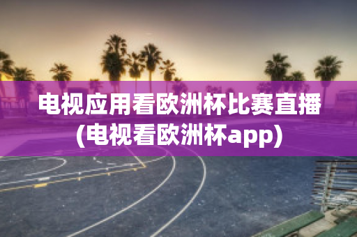 电视应用看欧洲杯比赛直播(电视看欧洲杯app)