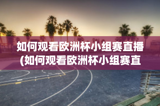 如何观看欧洲杯小组赛直播(如何观看欧洲杯小组赛直播回放)