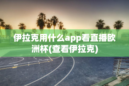 伊拉克用什么app看直播欧洲杯(查看伊拉克)