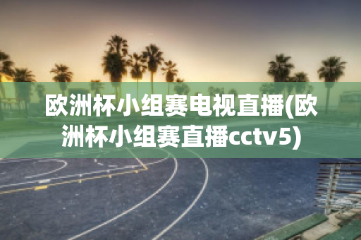 欧洲杯小组赛电视直播(欧洲杯小组赛直播cctv5)