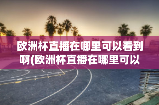 欧洲杯直播在哪里可以看到啊(欧洲杯直播在哪里可以看到啊英文)