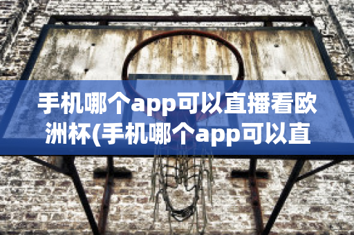 手机哪个app可以直播看欧洲杯(手机哪个app可以直播看欧洲杯直播)