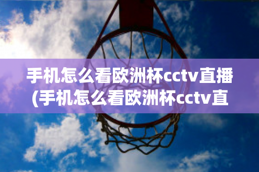 手机怎么看欧洲杯cctv直播(手机怎么看欧洲杯cctv直播回放)