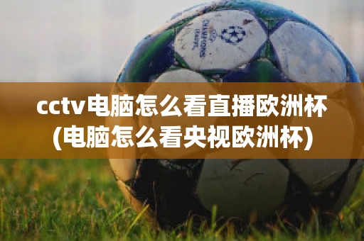 cctv电脑怎么看直播欧洲杯(电脑怎么看央视欧洲杯)