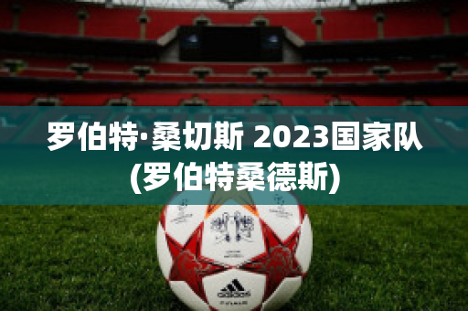 罗伯特·桑切斯 2023国家队(罗伯特桑德斯)