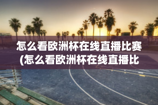 怎么看欧洲杯在线直播比赛(怎么看欧洲杯在线直播比赛回放)