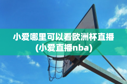 小爱哪里可以看欧洲杯直播(小爱直播nba)