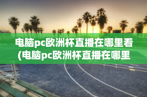 电脑pc欧洲杯直播在哪里看(电脑pc欧洲杯直播在哪里看回放)