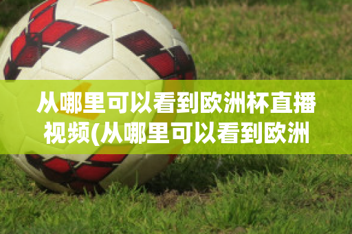 从哪里可以看到欧洲杯直播视频(从哪里可以看到欧洲杯直播视频呢)