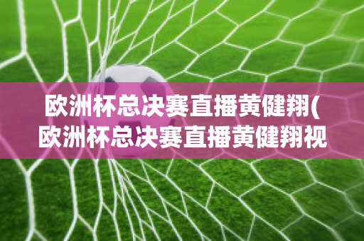 欧洲杯总决赛直播黄健翔(欧洲杯总决赛直播黄健翔视频回放)