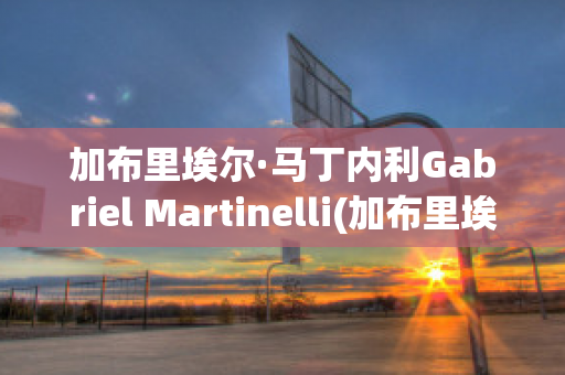 加布里埃尔·马丁内利Gabriel Martinelli(加布里埃尔·马丁内利号码)