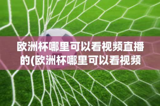 欧洲杯哪里可以看视频直播的(欧洲杯哪里可以看视频直播的平台)