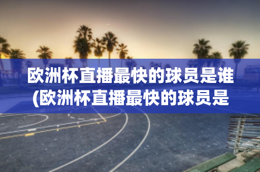 欧洲杯直播最快的球员是谁(欧洲杯直播最快的球员是谁呀)