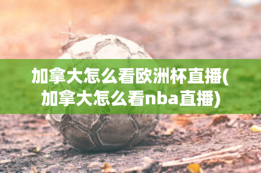 加拿大怎么看欧洲杯直播(加拿大怎么看nba直播)