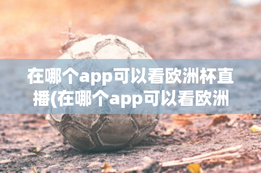 在哪个app可以看欧洲杯直播(在哪个app可以看欧洲杯直播视频)