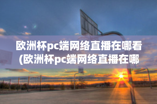 欧洲杯pc端网络直播在哪看(欧洲杯pc端网络直播在哪看回放)