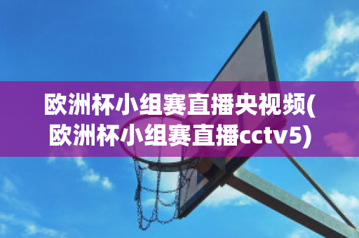 欧洲杯小组赛直播央视频(欧洲杯小组赛直播cctv5)