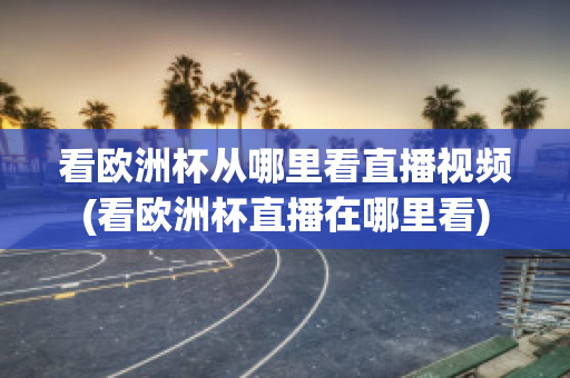 看欧洲杯从哪里看直播视频(看欧洲杯直播在哪里看)