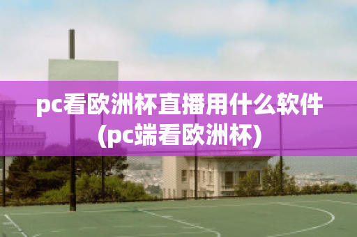 pc看欧洲杯直播用什么软件(pc端看欧洲杯)