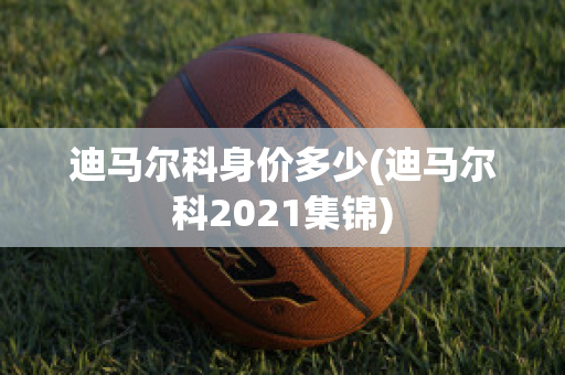 迪马尔科身价多少(迪马尔科2021集锦)