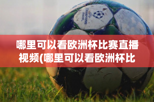 哪里可以看欧洲杯比赛直播视频(哪里可以看欧洲杯比赛直播视频呢)