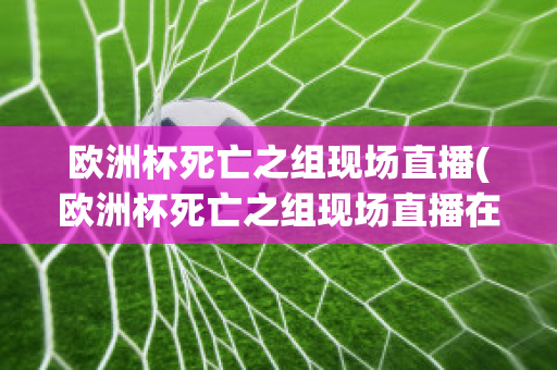 欧洲杯死亡之组现场直播(欧洲杯死亡之组现场直播在线观看)