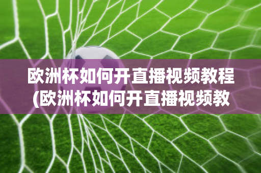 欧洲杯如何开直播视频教程(欧洲杯如何开直播视频教程全集)